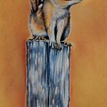 On the Fence